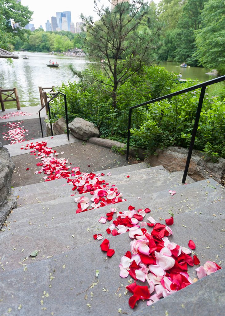 chambers landing central park rose petals