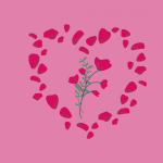 Rose petals upgrade Wedding Packages NYC